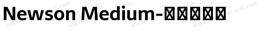 Newson Medium字体转换